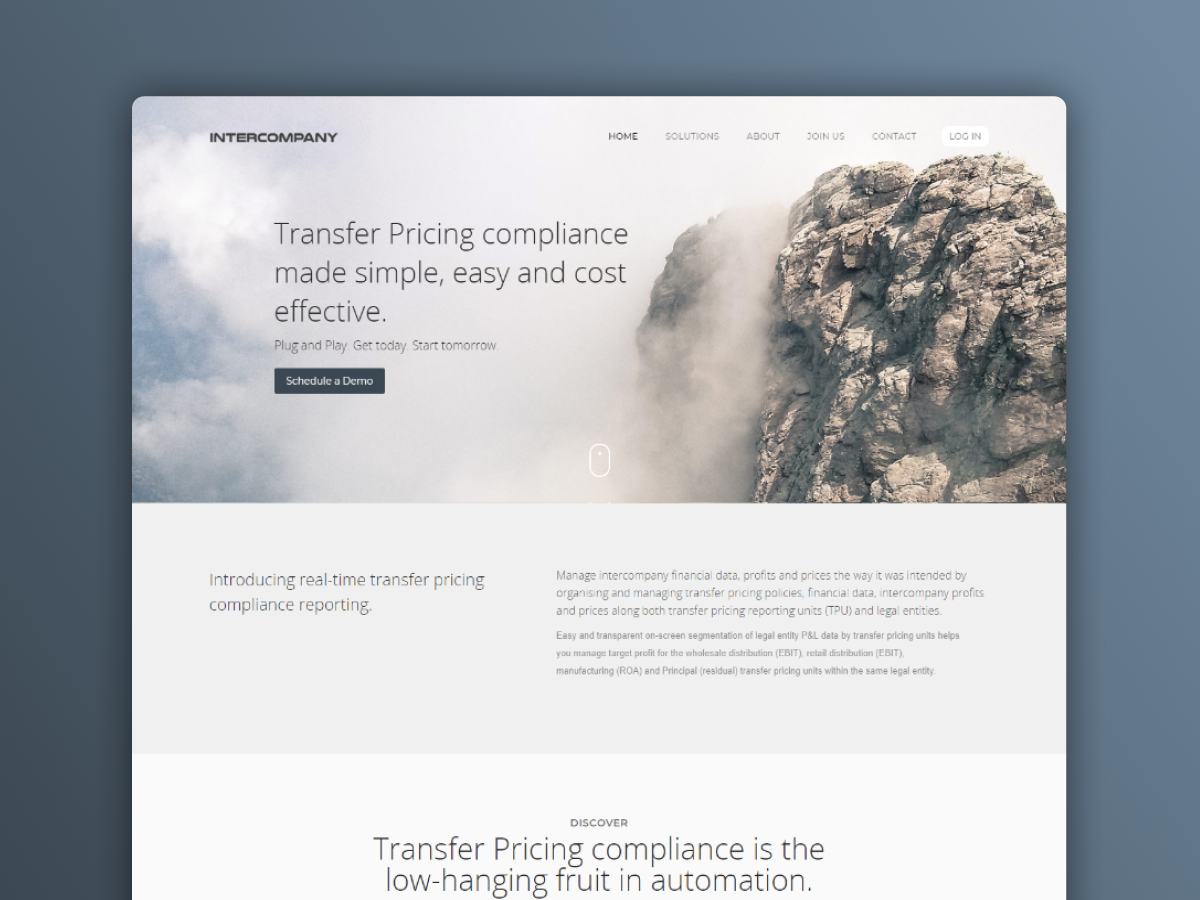 Intercompany Software website preview